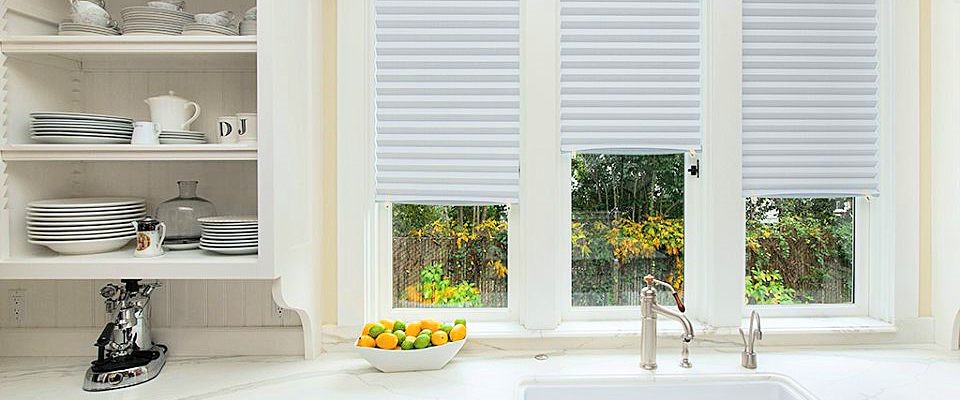 White Paper Temporary Blinds
